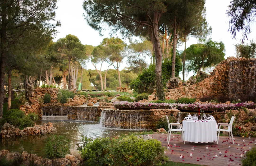 Regnum Carya-1